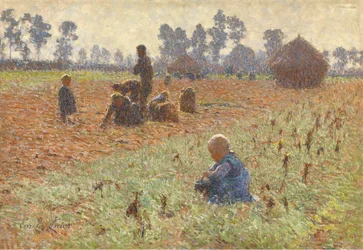Gathering Corn